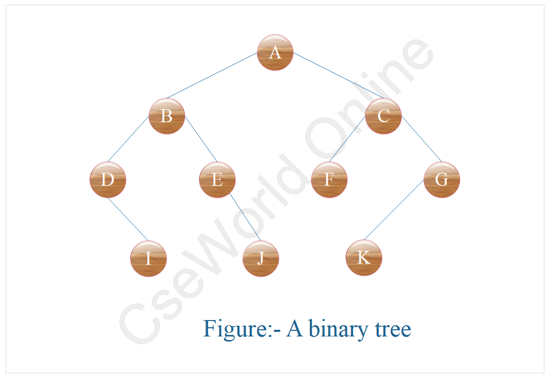 Binary Tree in data structure