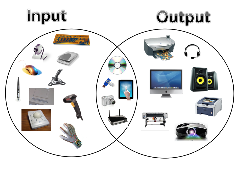 what is input device and output device